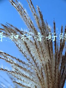 快手和抖音好赚钱