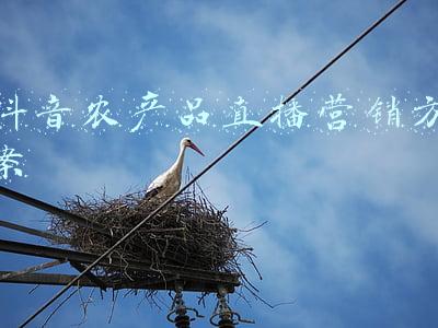 农副产品营销推广方案(如何利用电商平台推销农产品)