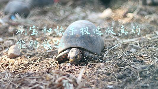 刷宝和快手极速版真的能赚钱吗
