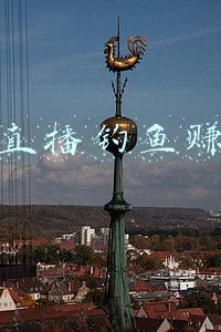 快手直播钓鱼赚钱吗