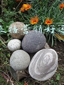 抖音直播营销好还是电话好