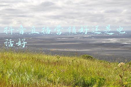 抖音直播营销好还是电话好