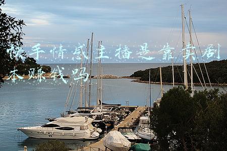 快手情感主播是靠卖剧本赚钱吗