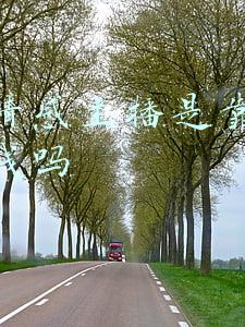 快手情感主播是靠卖剧本赚钱吗