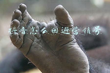 抖音怎么回避营销号