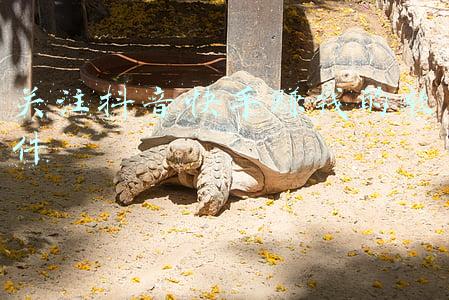 关注抖音快手赚钱的软件