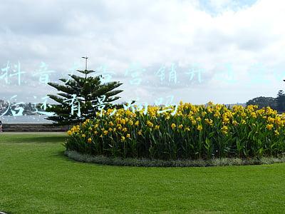 抖音蓝v认证需要广告投放吗(到底要不要开通抖音蓝V?一位老板痛惜的教训)