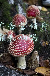 抖音广告营销开通蓝v后还有影响吗