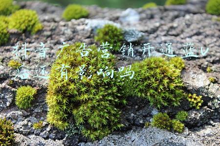 抖音广告营销开通蓝v后还有影响吗