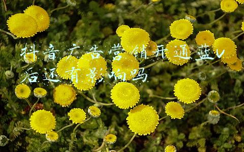 抖音广告营销开通蓝v后还有影响吗