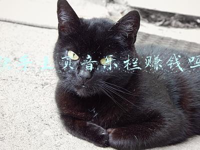 快手官网主页(快手电商进化论：从老铁经济到「快品牌」)