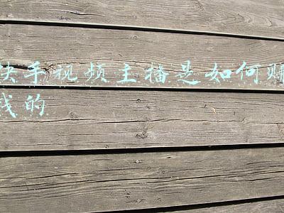 快手主播被打视频大全(语言内容低俗、辱骂他人……山西已有四名网络主播被抓)