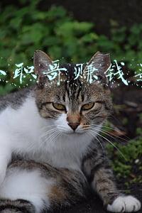 快手上主播教你赚钱是真是假(揭秘，那些网络上教你赚钱的视频到底是真是假)