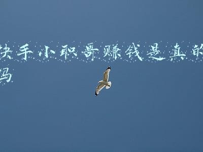 快手小职哥赚钱是真的吗