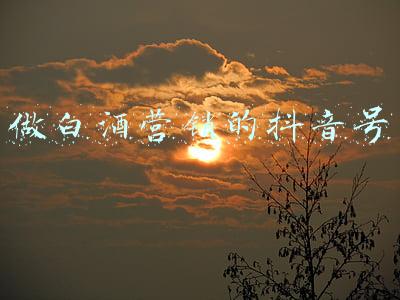 在抖音怎么宣传酒(抖音广告投放推广酒类商家准入规则与小店入驻酒类提报流程流程)