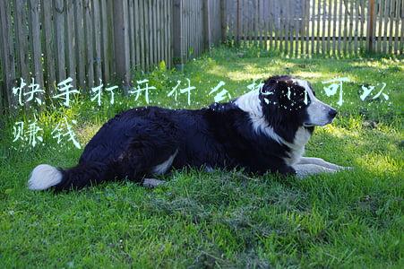 快手打开什么热门可以赚钱