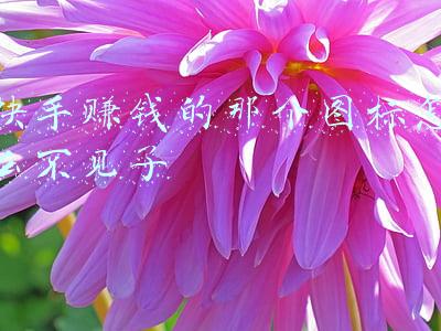快手礼物图片大全图标(基于直播平台的礼物玩法探索与创新)