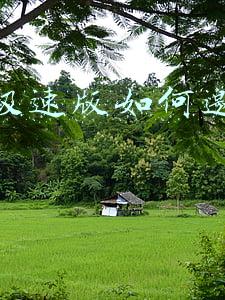 快手极速版怎么邀请好友赚36元(快手极速版可以赚钱，一天有一顿早餐钱!!!)