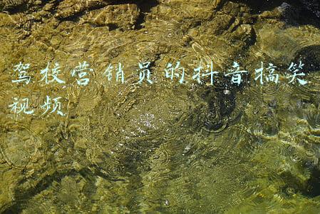 抖音上的驾校教练和学员(抖音上开驾校，安安教练如何轻松日入十万)