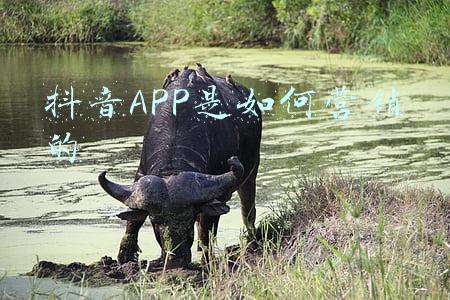 营销app河东软件(河东农商银行小微贷中心多措并举 推进“四张清单”对接工作)