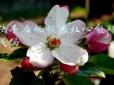 快手看视频点红心能赚钱吗