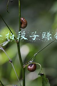 快手拍段子技巧(如何在快手上创作爆款内容？)