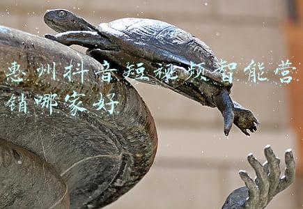 惠州抖音推广(实体如何转型直播卖货？他们在“产业带商家训练营”做到了)