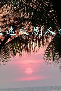 快手极速版别人扫码赚钱吗