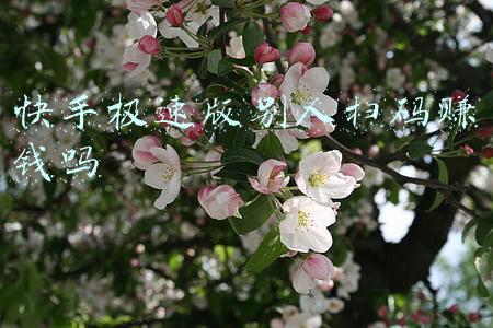 快手极速版别人扫码赚钱吗