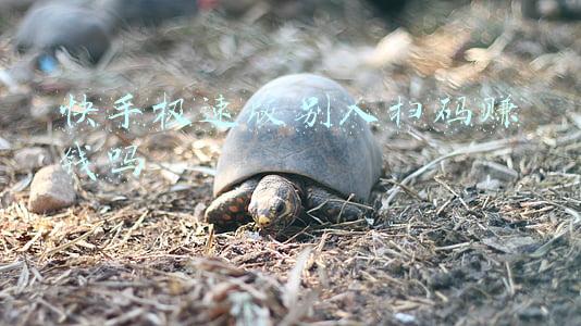 快手极速版别人扫码赚钱吗