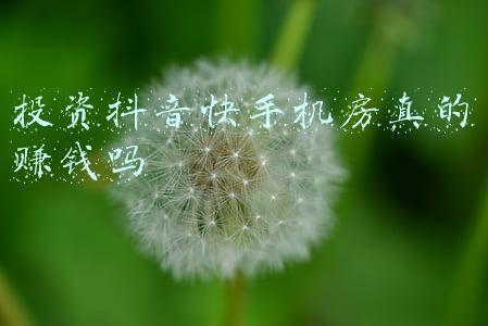 投资抖音快手机房真的赚钱吗