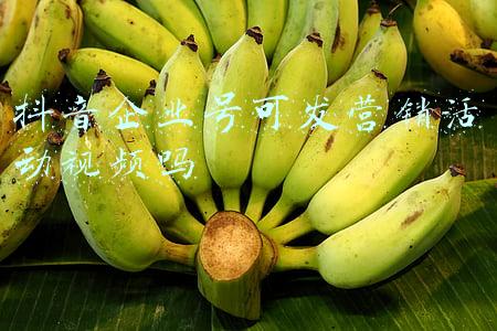 抖音企业号可发营销活动视频吗