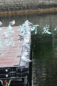 企业移动营销活动(企业微信+泛微：助力企业全方位开展营销活动，助力业绩增长)