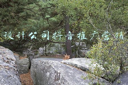 设计公司抖音推广(融创、清漫餐吧火爆出圈，“远航计划”圈层沙龙带你解码抖音营销)