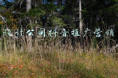 设计公司推广(从理念，设计到推广-解构那些逆风翻盘的品牌策略)