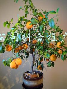 设计公司品牌推广方案(278家电品牌统帅营销策划案（23份）)