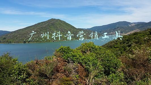 抖音官方营销推广平台(国内十大抖音代运营服务商公司排名)