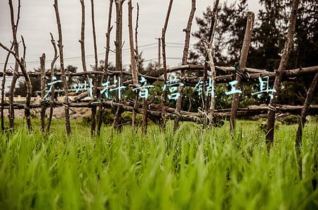 广州交通工具(今日起，广州公交、地铁乘车无须出示健康码！还有这些新消息)