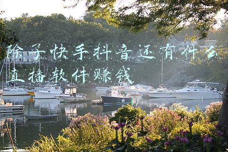 除了快手抖音还有什么平台火(“抖快B站小红书”，恰饭吸金哪家强？)