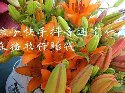 除了快手抖音还有什么直播软件赚钱