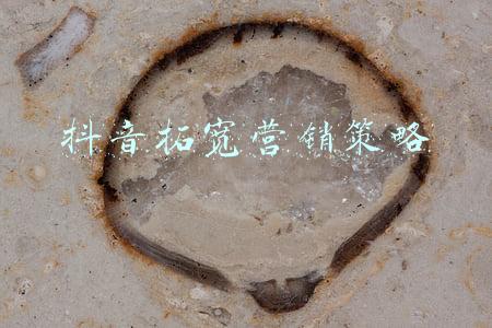 抖音的营销方式和策略(看多了国内抖音，来看看抖音海外版Tik Tok的营销玩法)