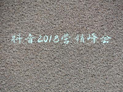 抖音2018营销峰会