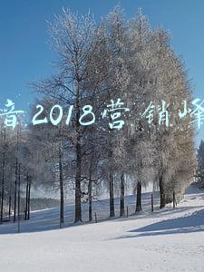 抖音2018营销峰会