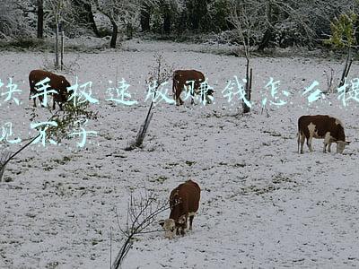 快手极速版赚钱怎么提现不了