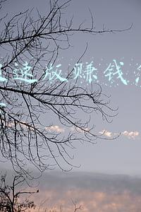 快手极速版赚钱怎么提现不了
