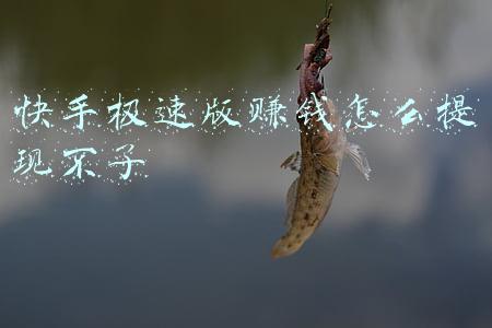 快手极速版赚钱怎么提现不了