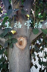 请快手主播带播能赚钱吗