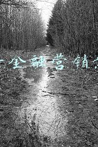抖音品牌营销案例分析(抖音电商年货节：一场“擂台赛”背后的营销启示录)