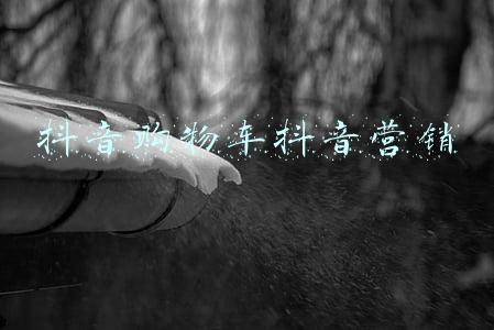 抖音怎么购物车商品功能(《抖音》购物车功能入口)