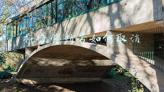 抖音营销号如何取消